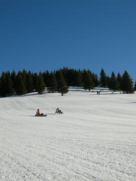 Bulharské Pamporovo a jedna ze sjezdovek